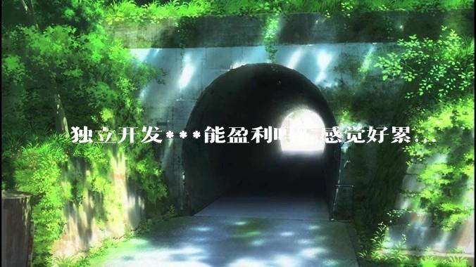 独立开发***能盈利吗？感觉好累...
