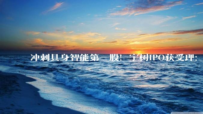 冲刺具身智能第一股！宇树IPO获受理：去年营收超17亿，初始市值达420亿，王兴成大赢家_机器人_占比_人形