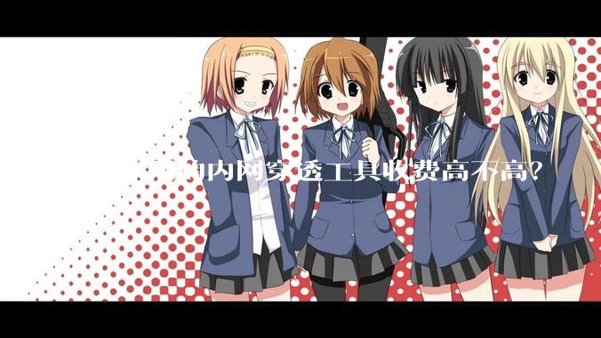 大家用的内网穿透工具收费高不高？
