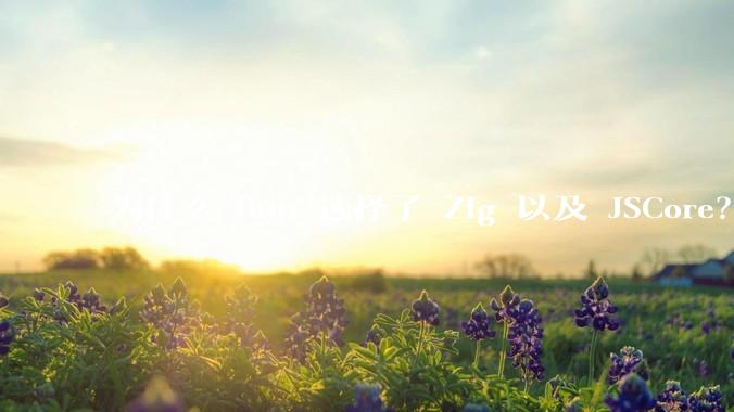 为什么 Bun 选择了 Zig 以及 JSCore？
